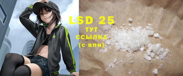 PSILOCYBIN Покачи