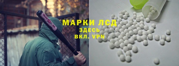 PSILOCYBIN Покачи
