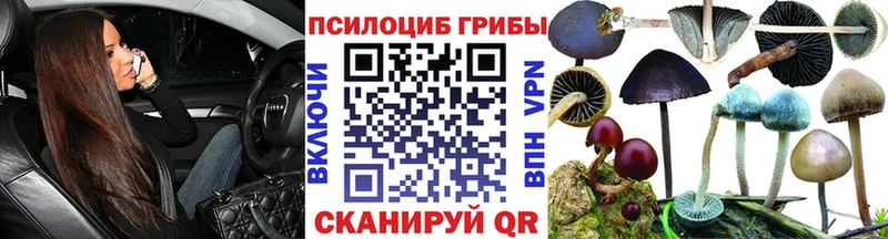 гидра зеркало  Пыть-Ях  Псилоцибиновые грибы ЛСД 