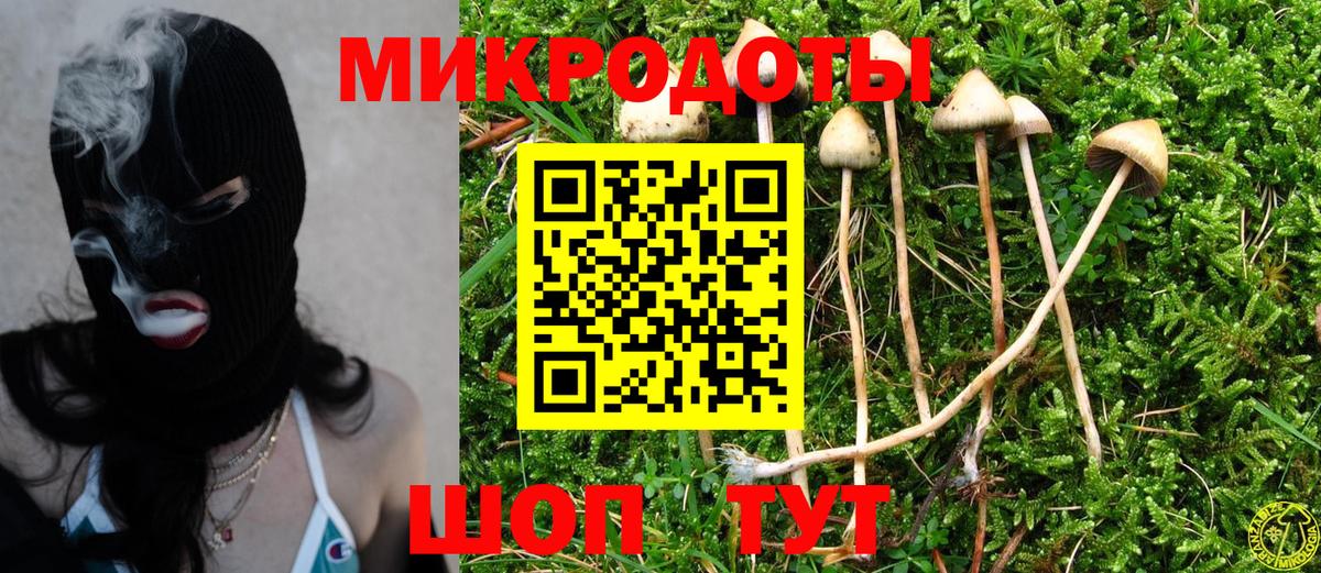 Галлюциногенные грибы Cubensis Пыть-Ях