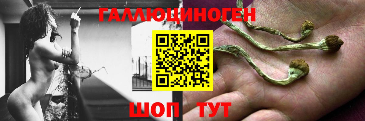 Псилоцибиновые грибы Psilocybine cubensis  Псилоцибиновые грибы Psilocybine cubensis  Вход с VPN  Пыть-Ях 